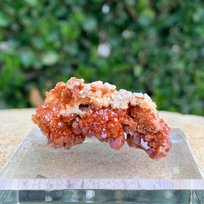 44.6g 5x4x3cm Shiny Red Vanadinite from Morocco
