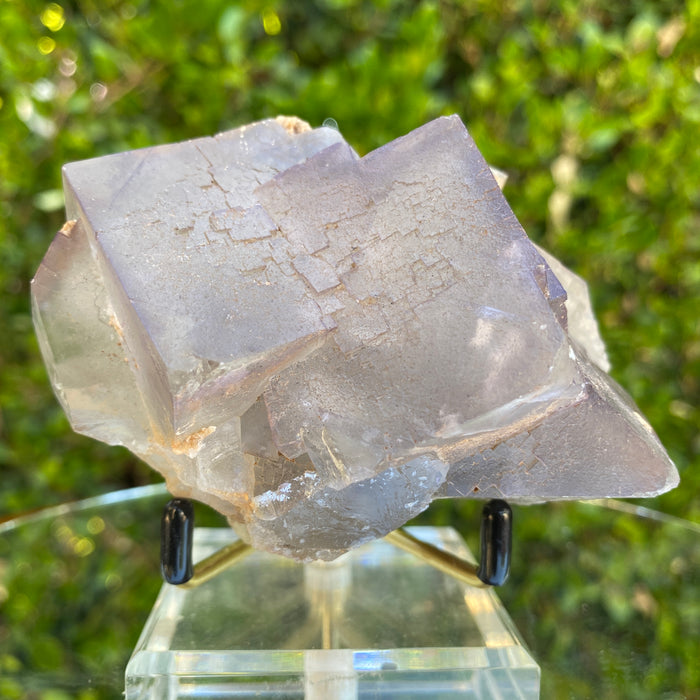 460g 10x7x7cm Clear big Cubic Grey Fluorite from Balochistan, Pakistan