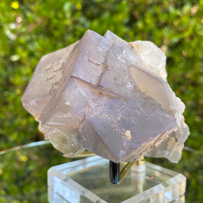460g 10x7x7cm Clear big Cubic Grey Fluorite from Balochistan, Pakistan