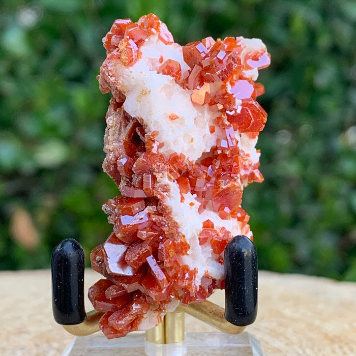 48.5g 5x3x2.5cm Shiny Red Vanadinite from Morocco