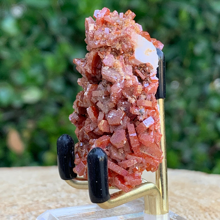 48.5g 5x3x2.5cm Shiny Red Vanadinite from Morocco