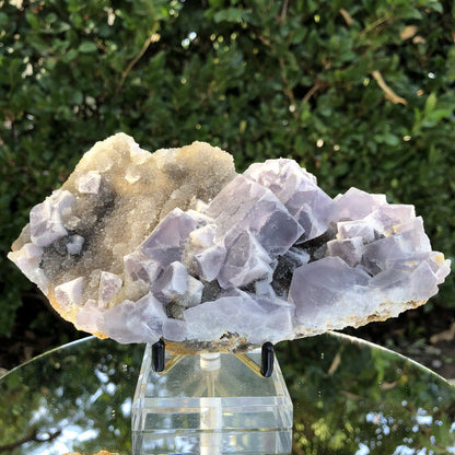 492g 18x9x4cm Lavander Purple Fluorite  from China