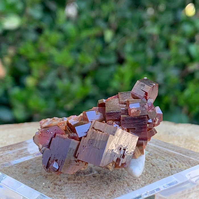 50.8g 4x3.5x2.5cm Red Vanadinite Nugget from Morocco