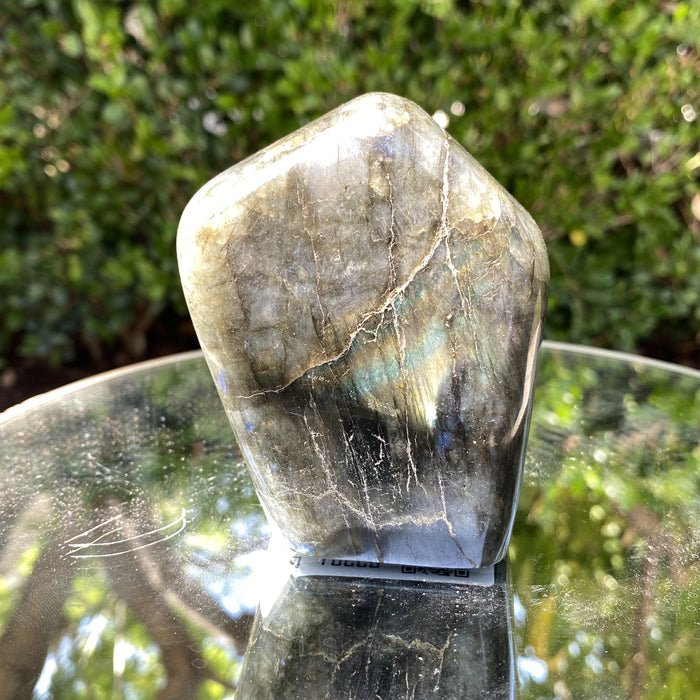 532g 9x7x4cm Rainbow Labradorite Natural Shape from China - Locco Decor