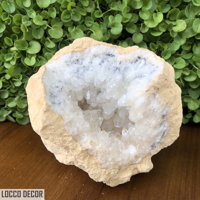 536g 11x9x8cm Clear Clear Calcite Geode from Mexico
