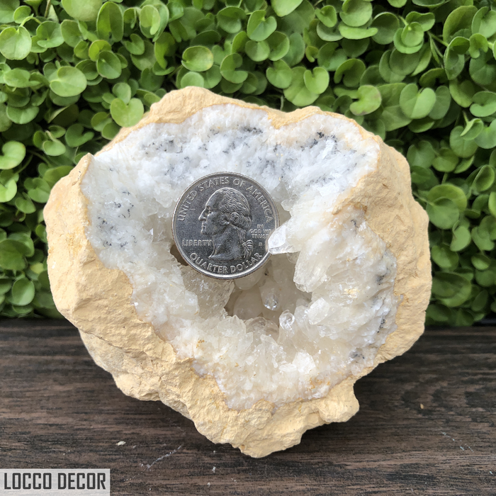 536g 11x9x8cm Clear Clear Calcite Geode from Mexico