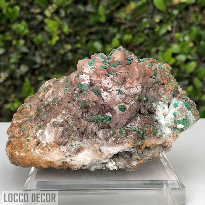 559g 4x11x9cm Brown Rosasite Dolomite Selenite from Morocco