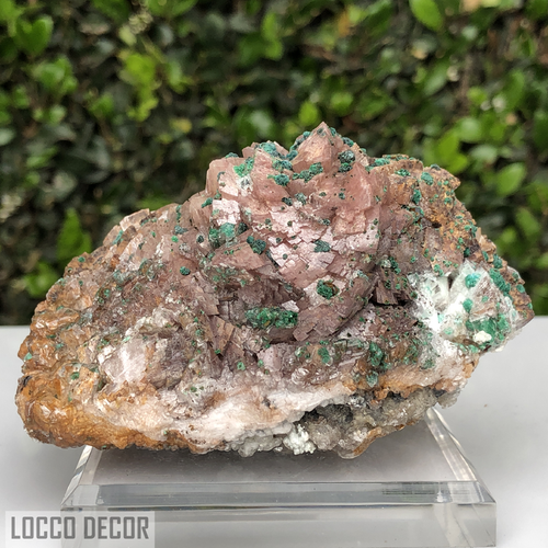 559g 4x11x9cm Brown Rosasite Dolomite Selenite from Morocco
