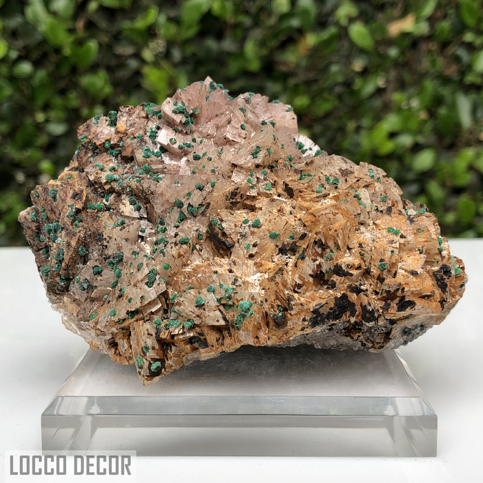 559g 4x11x9cm Brown Rosasite Dolomite Selenite from Morocco