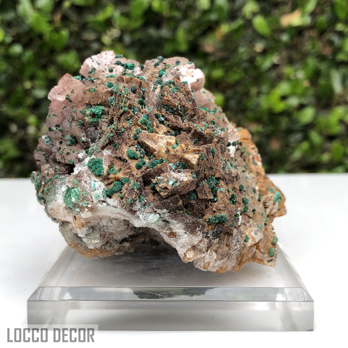559g 4x11x9cm Brown Rosasite Dolomite Selenite from Morocco
