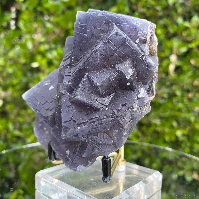 576g 12x9x6cm Veins and Detailed Very Dark Purple Fluorite from Balochistan, Pakistan