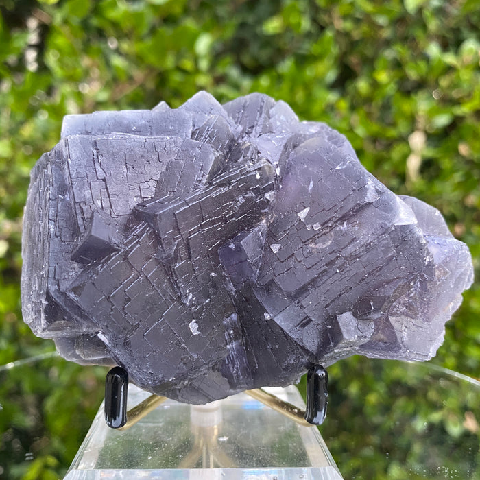 576g 12x9x6cm Veins and Detailed Very Dark Purple Fluorite from Balochistan, Pakistan
