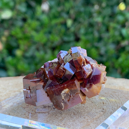 58.7g 4x3x2.5cm Red Vanadinite Nugget from Morocco