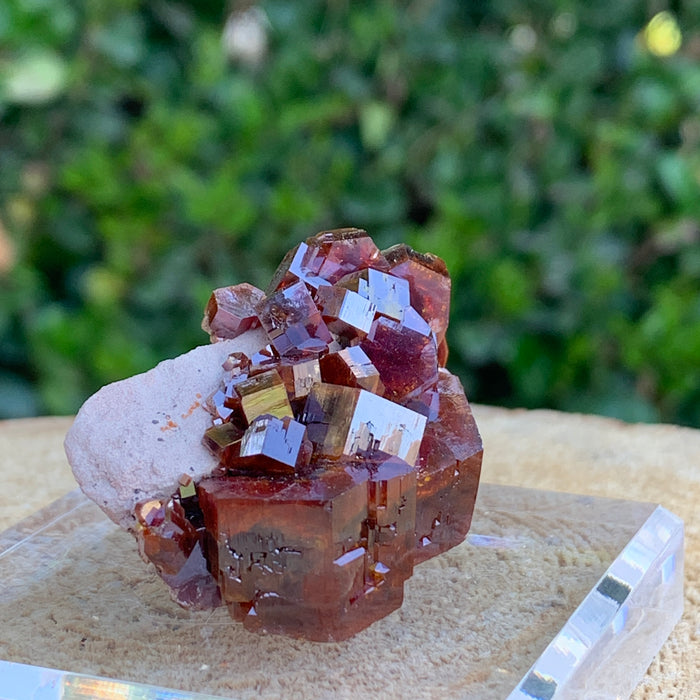 58.7g 4x3x2.5cm Red Vanadinite Nugget from Morocco