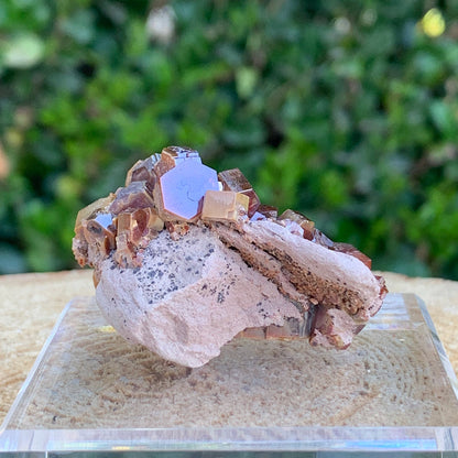 58.7g 4x3x2.5cm Red Vanadinite Nugget from Morocco