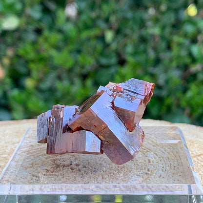 61.2g 4x2.5x2cm Red Vanadinite Nugget from Morocco