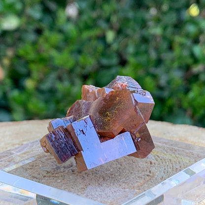 61.2g 4x2.5x2cm Red Vanadinite Nugget from Morocco