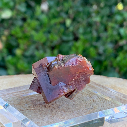 61.2g 4x2.5x2cm Red Vanadinite Nugget from Morocco