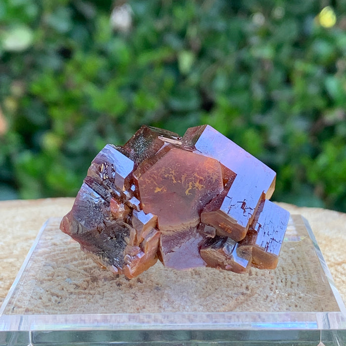 61.2g 4x2.5x2cm Red Vanadinite Nugget from Morocco