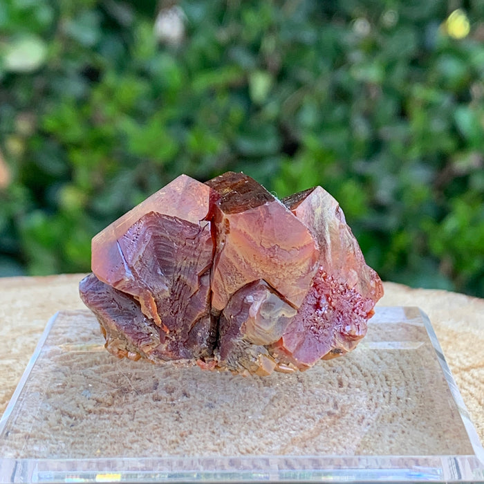 61.2g 4x2.5x2cm Red Vanadinite Nugget from Morocco