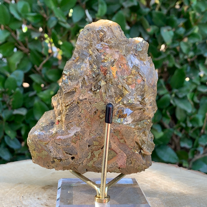638g 10x9x5cm Brown Siderite from China