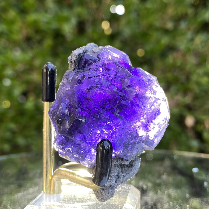 66g 5x4x4cm Purple Tanzanite Fluorite from China - Locco Decor