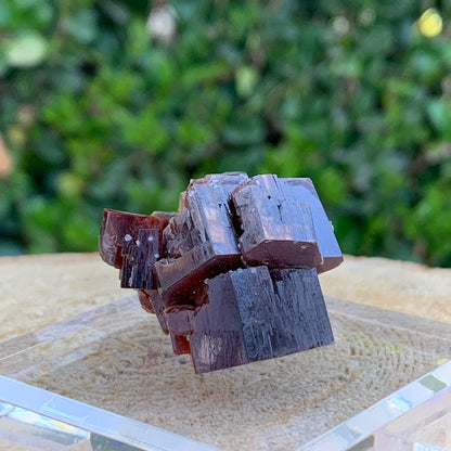 67.1g 3.5x3x2.5cm Red Vanadinite Nugget from Morocco