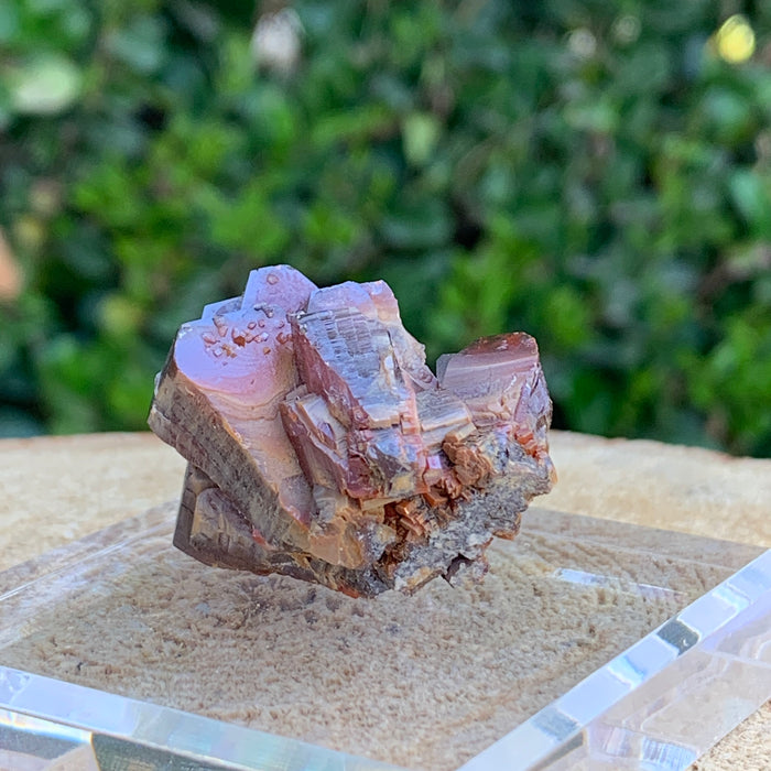 67.1g 3.5x3x2.5cm Red Vanadinite Nugget from Morocco