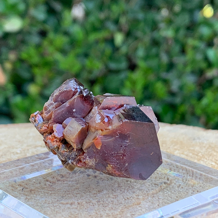 67.1g 3.5x3x2.5cm Red Vanadinite Nugget from Morocco