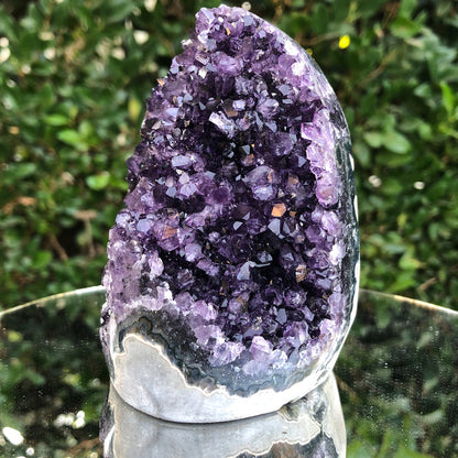 692g 8x8x11cm Purple Amethyst Geode from Uruguay