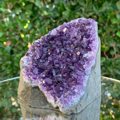 698g 10x9x8cm Purple Amethyst Cluster Cutbase Grade A from Uruguay