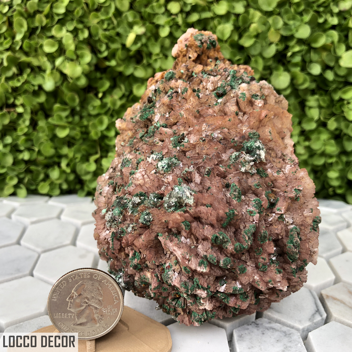 721g 7x9x11cm Brown Rosasite Malachite with Selenite over Dolomite from Morocco