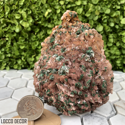 721g 7x9x11cm Brown Rosasite Malachite with Selenite over Dolomite from Morocco