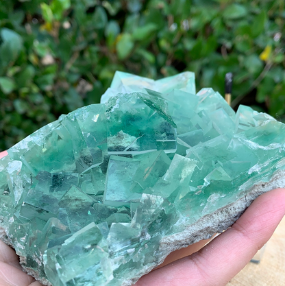 750g 12x11x7cm Clear Yaogangxian Fluorite from China