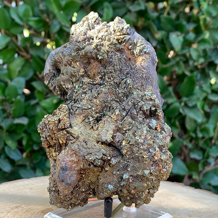 760g 13x9x7cm Brown Siderite from China