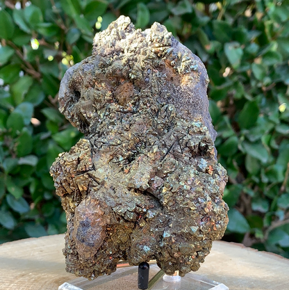760g 13x9x7cm Brown Siderite from China