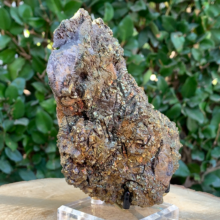 760g 13x9x7cm Brown Siderite from China