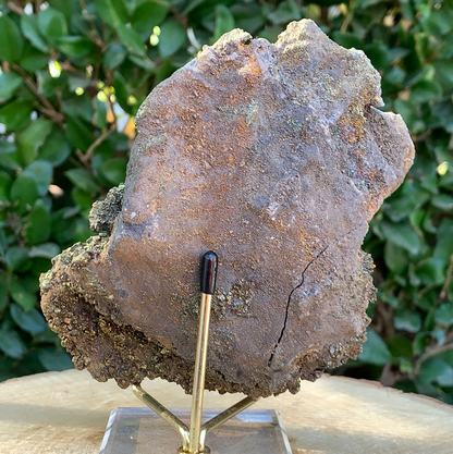 760g 13x9x7cm Brown Siderite from China