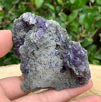 76g 9x7x4cm Purple Tanzanite Fluorite from China