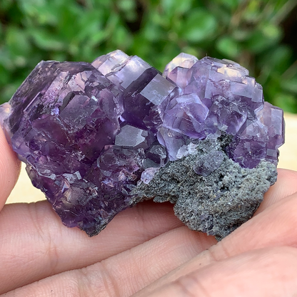 78g 6x4x4cm Purple Tanzanite Fluorite from China