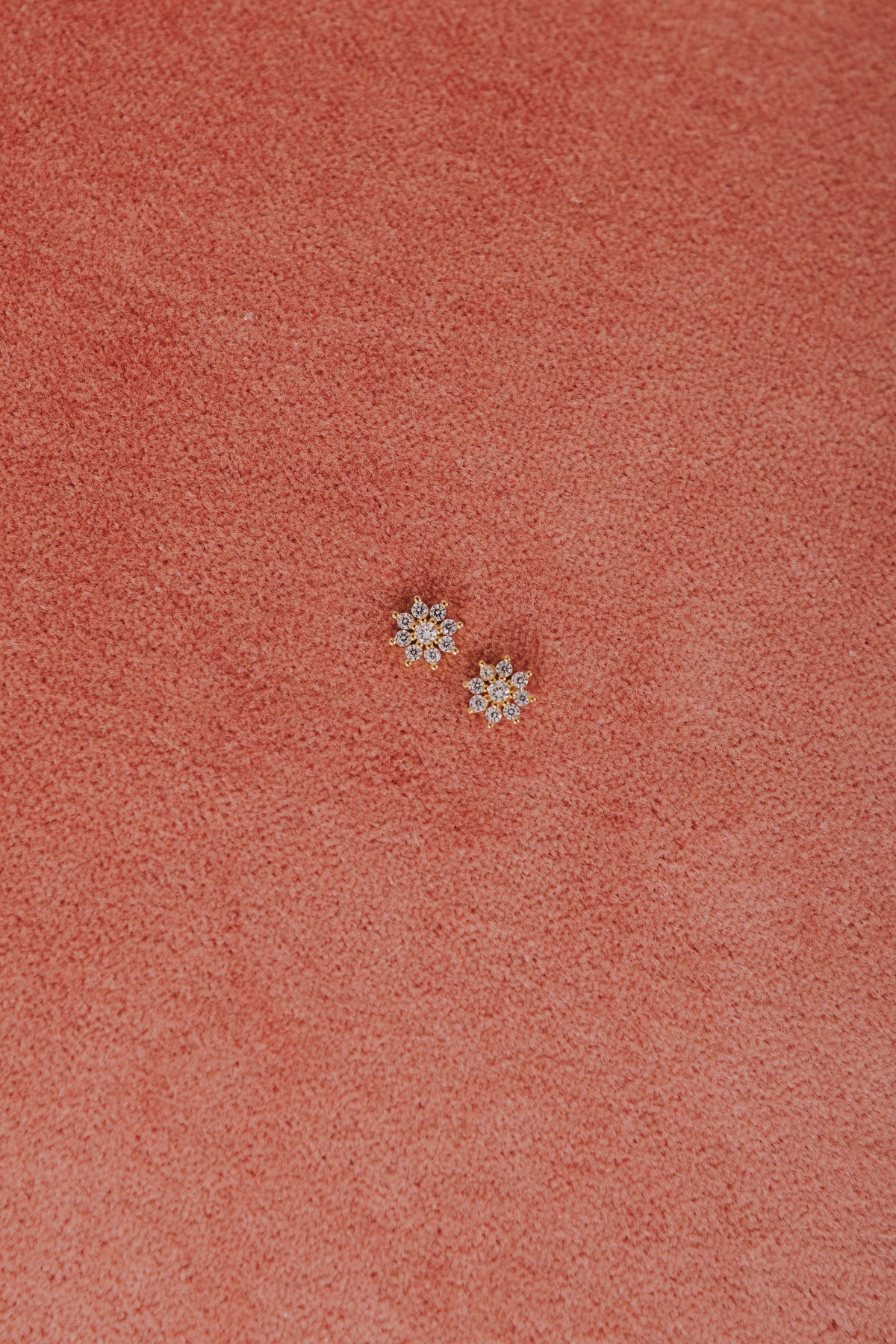 Insisted Earrings - 14K Gold Plated