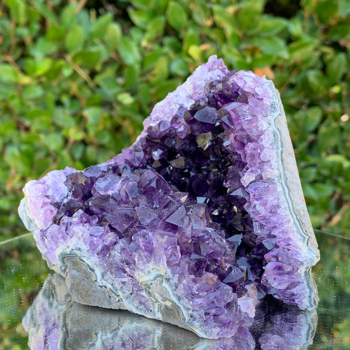 806g 11x11x9cm Purple Amethyst Cluster from Uruguay