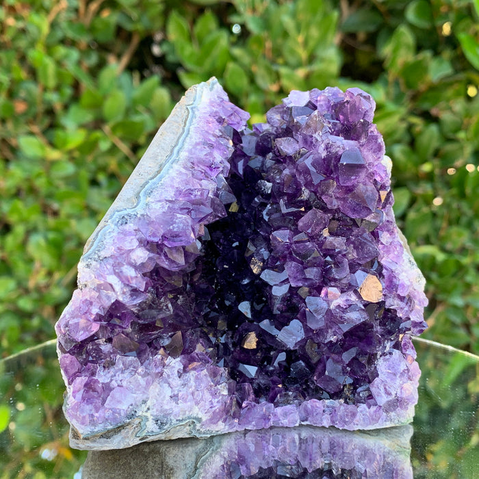806g 11x11x9cm Purple Amethyst Cluster from Uruguay