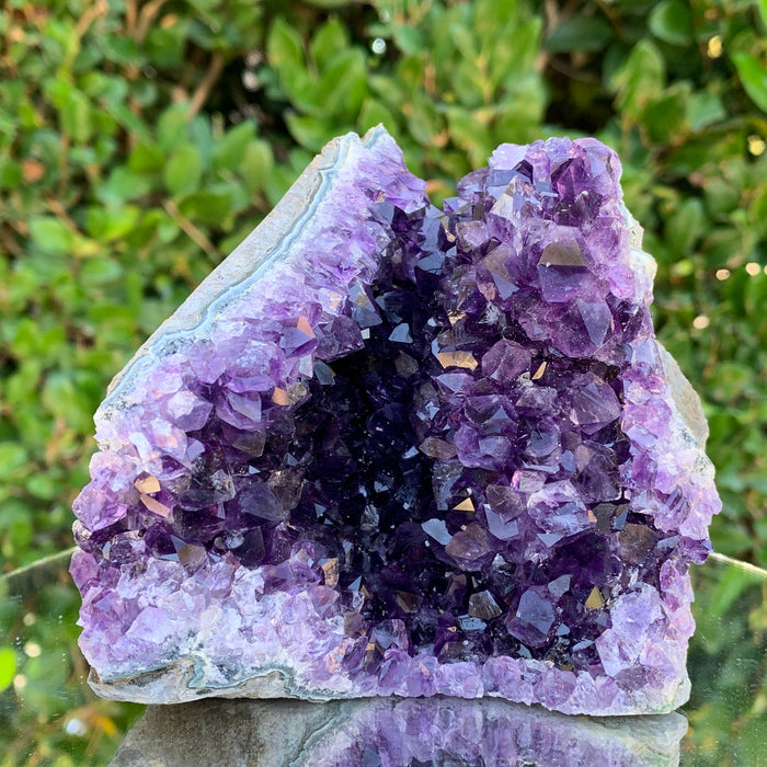 806g 11x11x9cm Purple Amethyst Cluster from Uruguay