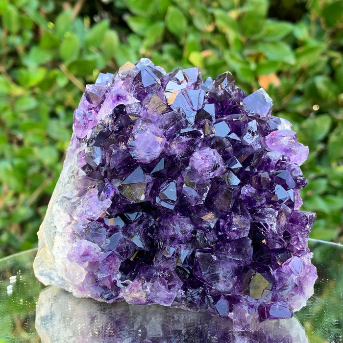 826g 10x10x10cm Purple Amethyst Cluster Cut Base from Uruguay