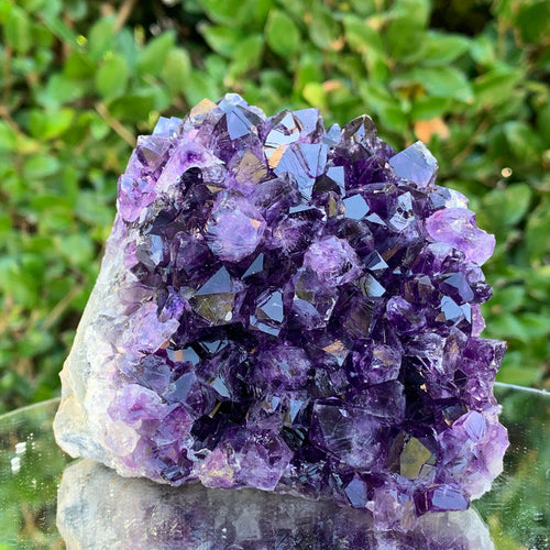 826g 10x10x10cm Purple Amethyst Cluster Cut Base from Uruguay
