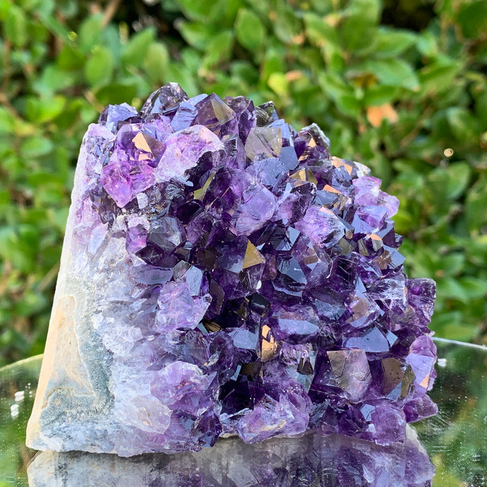826g 10x10x10cm Purple Amethyst Cluster Cut Base from Uruguay