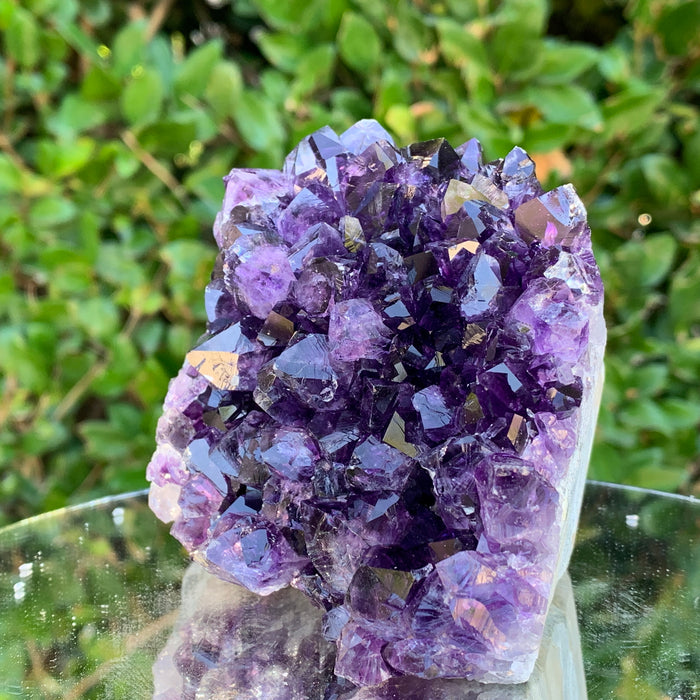 826g 10x10x10cm Purple Amethyst Cluster Cut Base from Uruguay