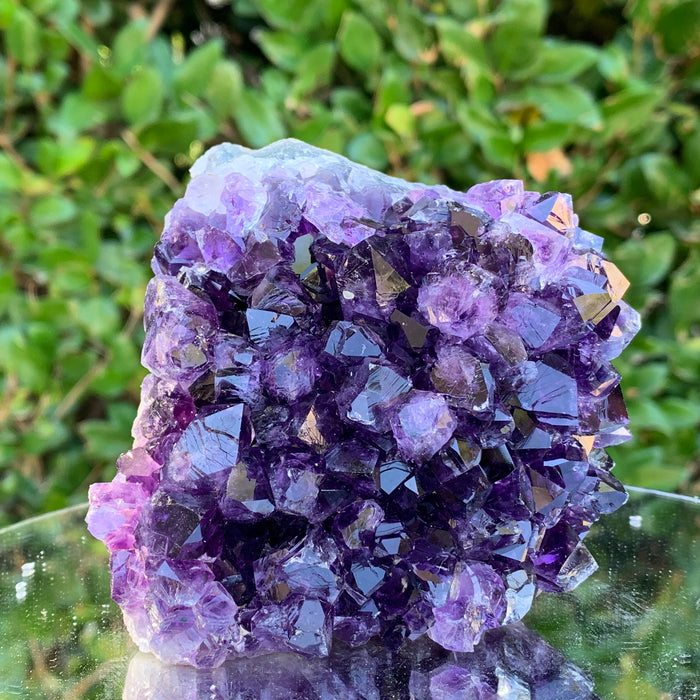 826g 10x10x10cm Purple Amethyst Cluster Cut Base from Uruguay