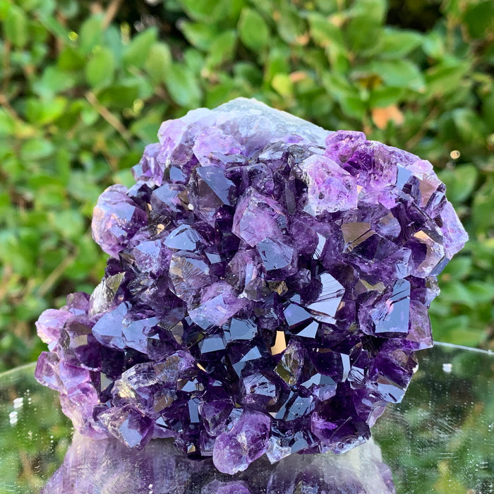 826g 10x10x10cm Purple Amethyst Cluster Cut Base from Uruguay